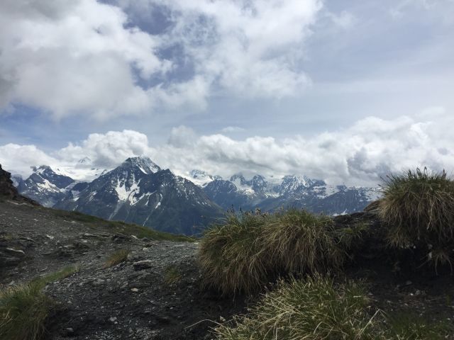 Col de Torrent, looking through the tussocks to peaks around Arolla. A view that looks almost Kiwi.